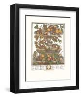 Twelve Months of Fruits, 1732, June-Robert Furber-Framed Art Print