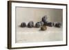 Twelve Plums, 1896-Joseph Decker-Framed Giclee Print