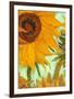 Twelve Sunflowers (detail)-Vincent van Gogh-Framed Art Print