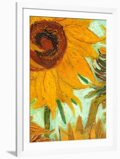 Twelve Sunflowers (detail)-Vincent van Gogh-Framed Art Print