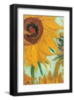 Twelve Sunflowers (detail)-Vincent van Gogh-Framed Premium Giclee Print