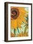 Twelve Sunflowers (detail)-Vincent van Gogh-Framed Premium Giclee Print