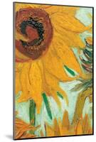 Twelve Sunflowers (detail)-Vincent van Gogh-Mounted Premium Giclee Print