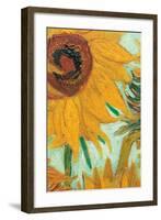 Twelve Sunflowers (detail)-Vincent van Gogh-Framed Premium Giclee Print