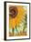 Twelve Sunflowers (detail)-Vincent van Gogh-Framed Premium Giclee Print