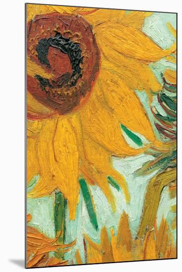 Twelve Sunflowers (detail)-Vincent van Gogh-Mounted Premium Giclee Print