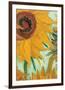 Twelve Sunflowers (detail)-Vincent van Gogh-Framed Premium Giclee Print