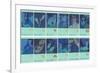 Twelve Zodiac Signs-null-Framed Premium Giclee Print