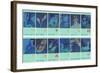 Twelve Zodiac Signs-null-Framed Art Print