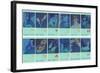 Twelve Zodiac Signs-null-Framed Art Print