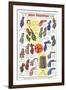 Twenties Clothes Catalog-null-Framed Art Print