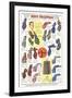 Twenties Clothes Catalog-null-Framed Art Print