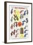 Twenties Clothes Catalog-null-Framed Art Print