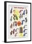 Twenties Clothes Catalog-null-Framed Art Print