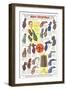 Twenties Clothes Catalog-null-Framed Art Print