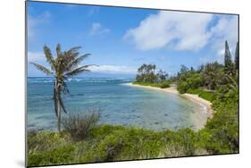 Twenty Mile Beach, Island of Molokai, Hawaii, United States of America, Pacific-Michael Runkel-Mounted Photographic Print