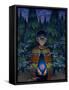 Twenty Sides of Salvation-Aaron Jasinski-Framed Stretched Canvas