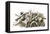 Twenty Years After: the Capture of D'Artagnan-John Millar Watt-Framed Stretched Canvas