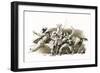 Twenty Years After: the Capture of D'Artagnan-John Millar Watt-Framed Premium Giclee Print