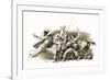 Twenty Years After: the Capture of D'Artagnan-John Millar Watt-Framed Giclee Print