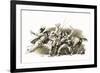 Twenty Years After: the Capture of D'Artagnan-John Millar Watt-Framed Giclee Print
