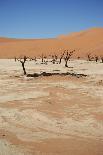 Namib Desert-Twentytwo-Framed Stretched Canvas