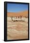 Essential Black