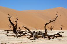 Dead Vlei at Namib Desert-Twentytwo-Framed Photographic Print