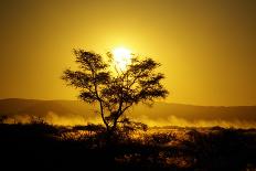 Namib Desert-Twentytwo-Stretched Canvas