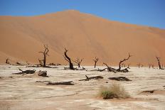 Dead Vlei Namibia-Twentytwo-Mounted Photographic Print