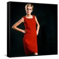 Twiggy-null-Framed Stretched Canvas