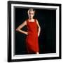 Twiggy-null-Framed Photo