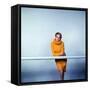 Twiggy-null-Framed Stretched Canvas