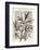 Twigs 3-Marion Mcconaghie-Framed Art Print