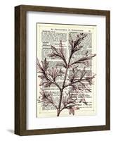 Twigs 3-Marion Mcconaghie-Framed Art Print