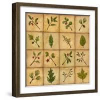 Twigs-Robin Betterley-Framed Giclee Print