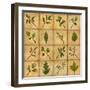 Twigs-Robin Betterley-Framed Giclee Print