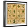 Twigs-Robin Betterley-Framed Giclee Print