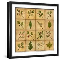 Twigs-Robin Betterley-Framed Premium Giclee Print