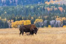 Silverton Colorado in Fall-twildlife-Photographic Print