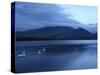 Twilight at Bassenthwaite Lake, Lake District National Park, Cumbria, England, United Kingdom-Rob Cousins-Stretched Canvas