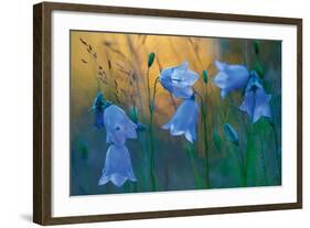 Twilight Blue-Peter Lilja-Framed Giclee Print