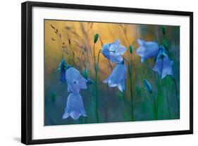 Twilight Blue-Peter Lilja-Framed Giclee Print