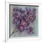 Twilight Cherry Blossoms I-null-Framed Art Print