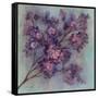 Twilight Cherry Blossoms I-null-Framed Stretched Canvas