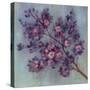 Twilight Cherry Blossoms II-null-Stretched Canvas