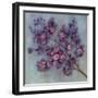 Twilight Cherry Blossoms II-null-Framed Art Print