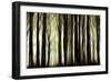 Twilight Dance-Jacob Berghoef-Framed Photographic Print