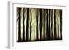 Twilight Dance-Jacob Berghoef-Framed Photographic Print