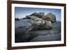 Twilight Edge-Joe Cornish-Framed Giclee Print